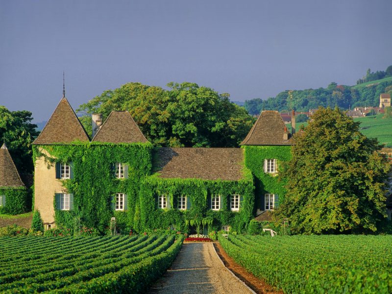 Vignoble de la Coote de Beaune 3 Vignoble de la Coote de Beaune 3